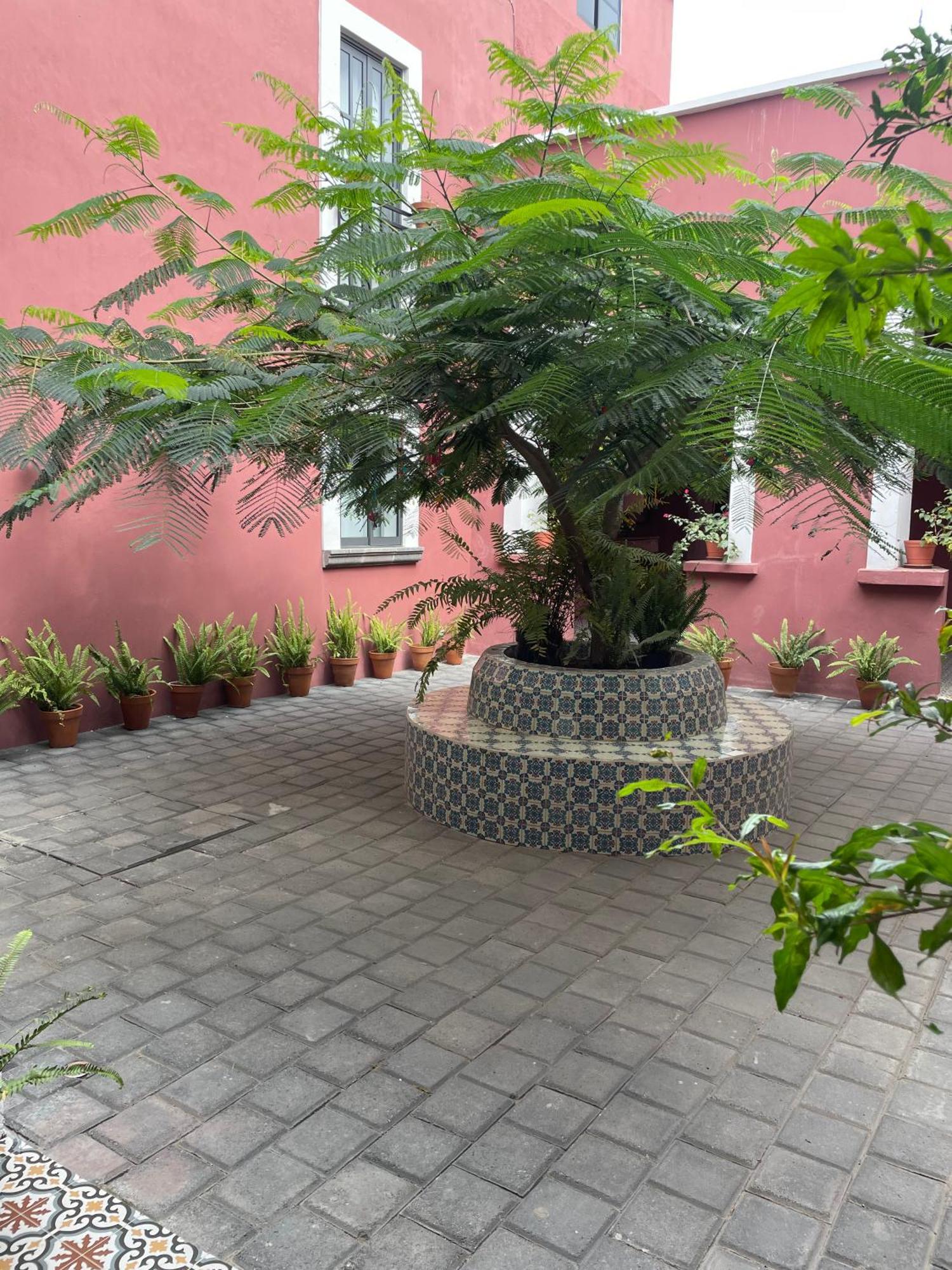 Quinta La Perla Hostel Гуадалахара Екстериор снимка